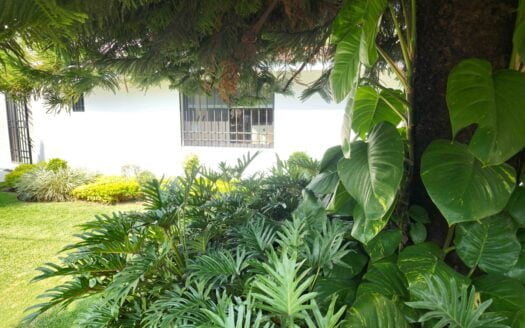 AMM1102 – Casa en venta en Lomas de Cocoyoc